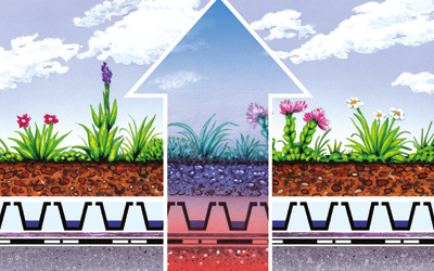 A green roof buffers temperature extremes